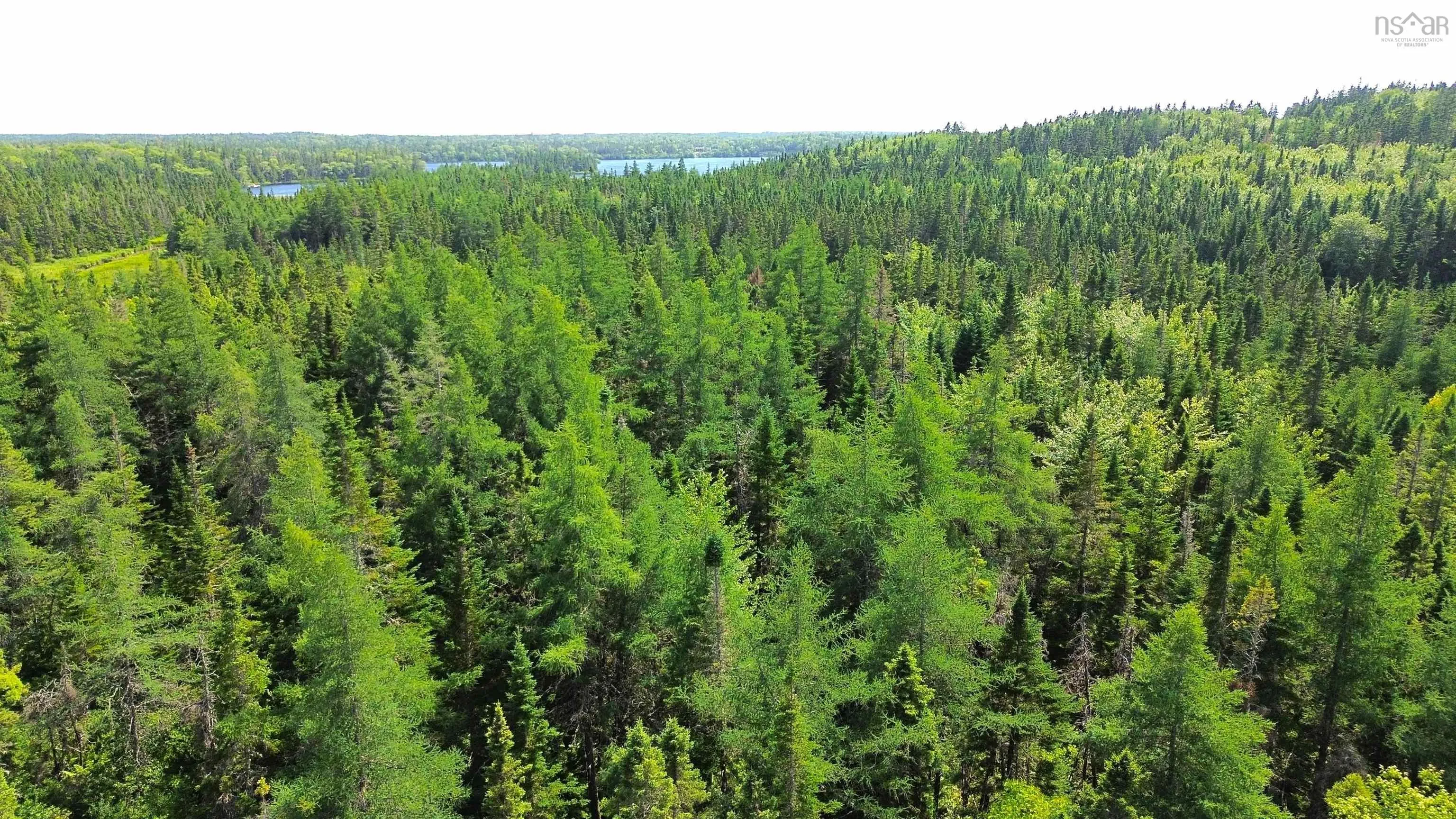 Lot 54 Highway 4, Cleveland, NS B0E 1J0, ,Land,For Sale,Highway 4, Kempt Road,202519191