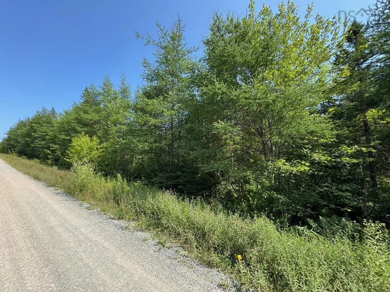 Lot 54 Highway 4, Cleveland, NS B0E 1J0, ,Land,For Sale,Highway 4, Kempt Road,202519191