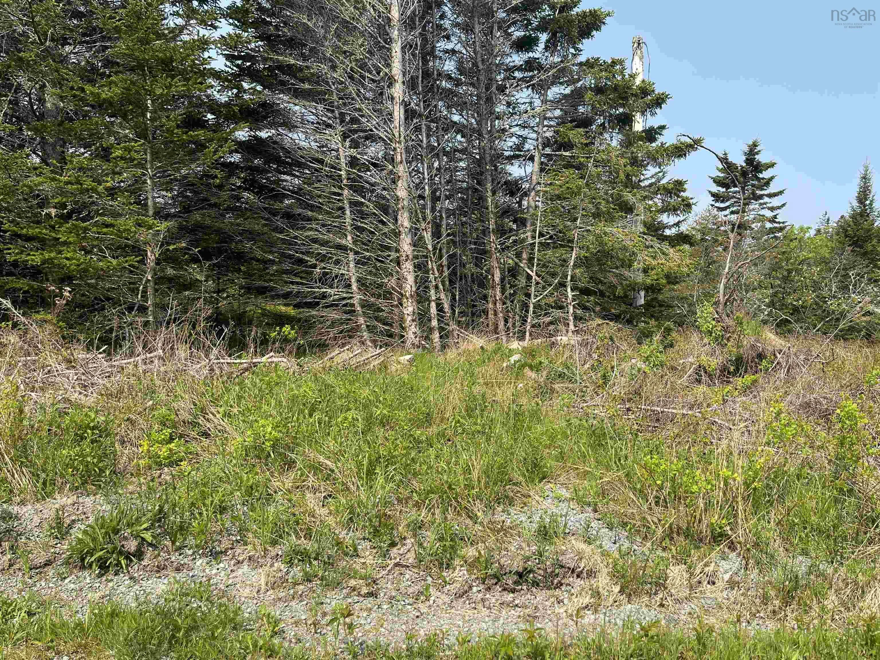 15-lot Shiers Road, Harrigan Cove, NS B0J 2K0, ,Land,For Sale,Shiers,202522014