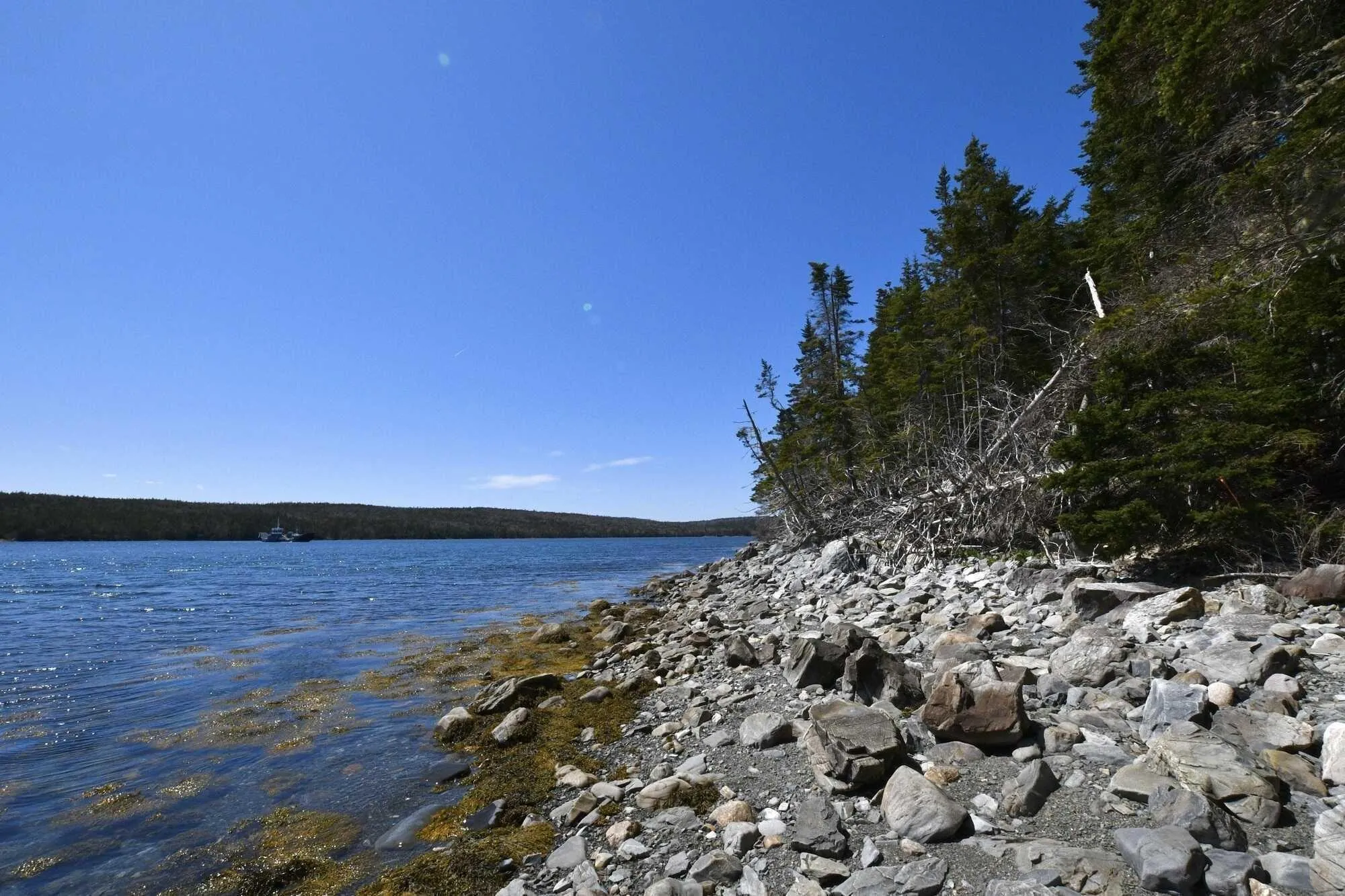Lot 9 Ferry Road, Country Harbour Ns B0j 2k0, ,Land,For Sale,Ferry,202402665