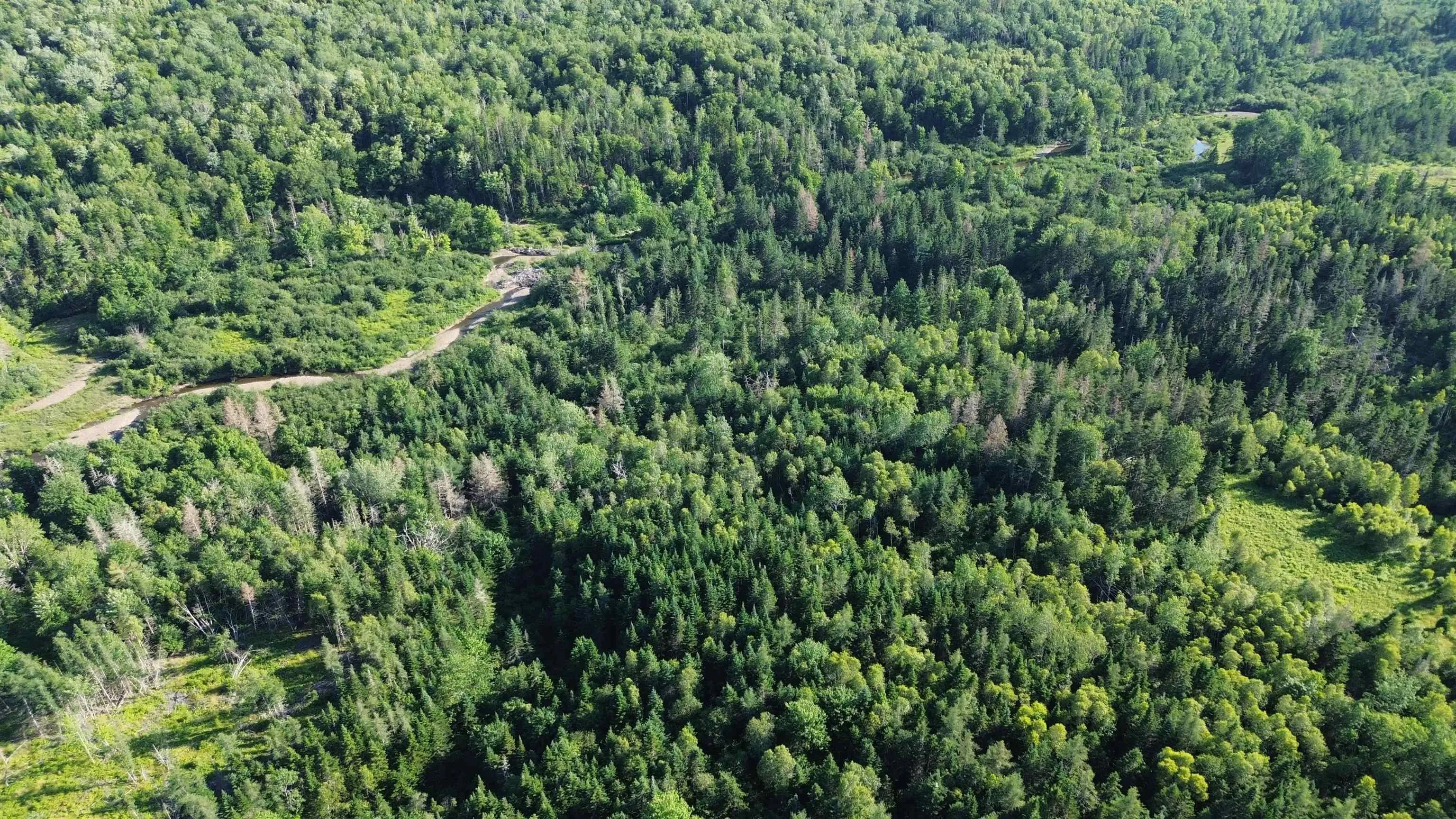 Cg19-1 Hiram Lynds Road, North River, NS B6L 6K2, ,Land,For Sale,Hiram Lynds,202518527