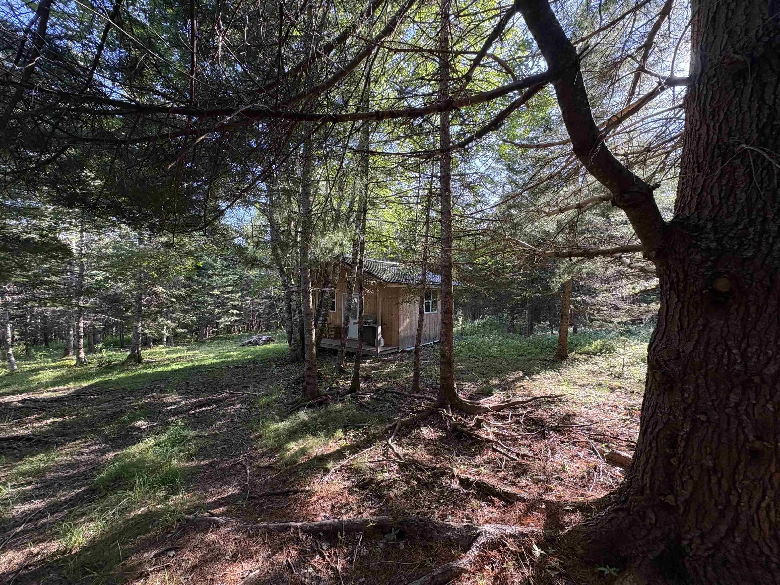 Cg19-1 Hiram Lynds Road, North River, NS B6L 6K2, ,Land,For Sale,Hiram Lynds,202518527