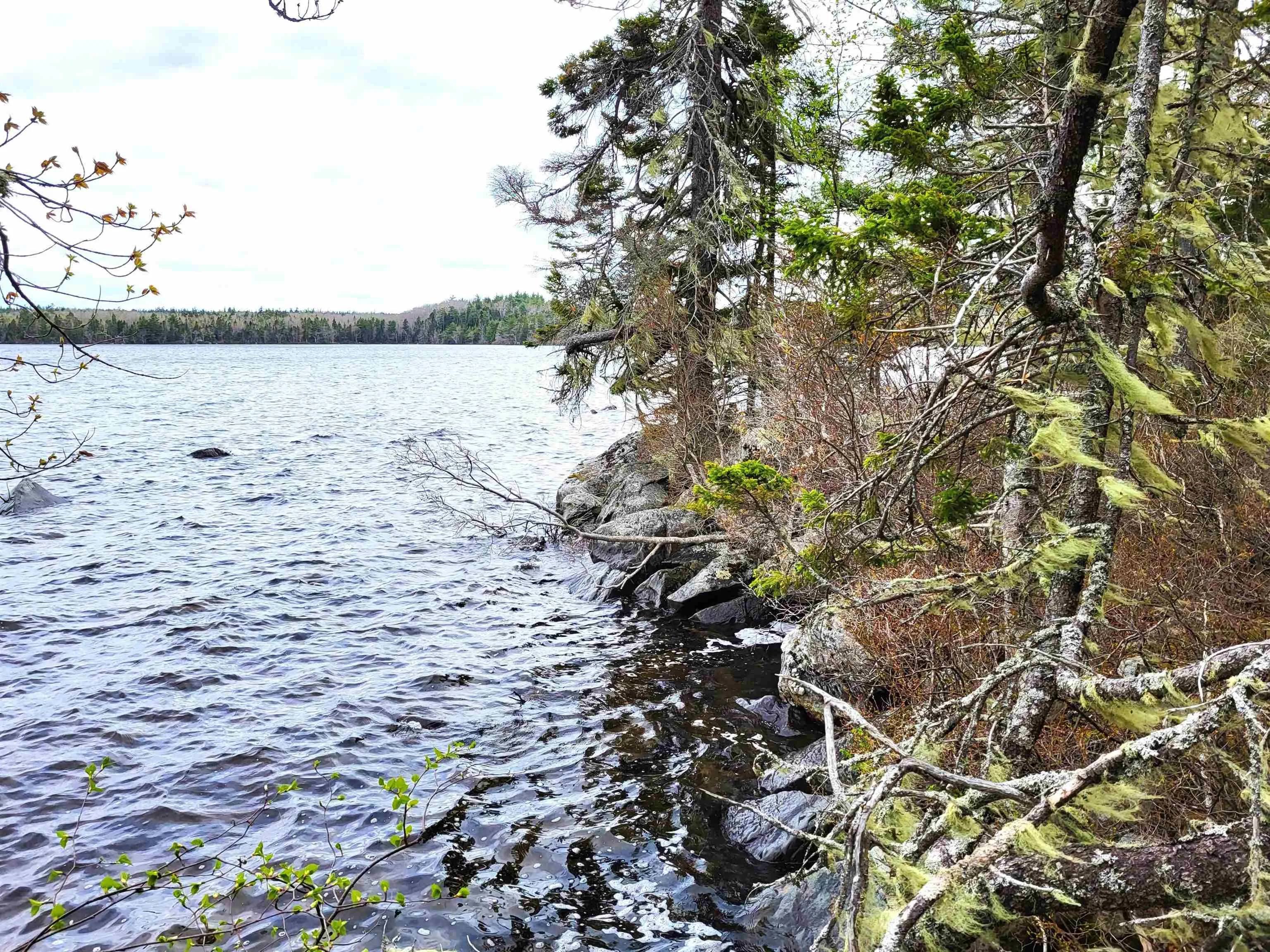 Hirtle Road, Voglers Cove Ns B0j 2h0, ,Land,For Sale,Hirtle,202417604