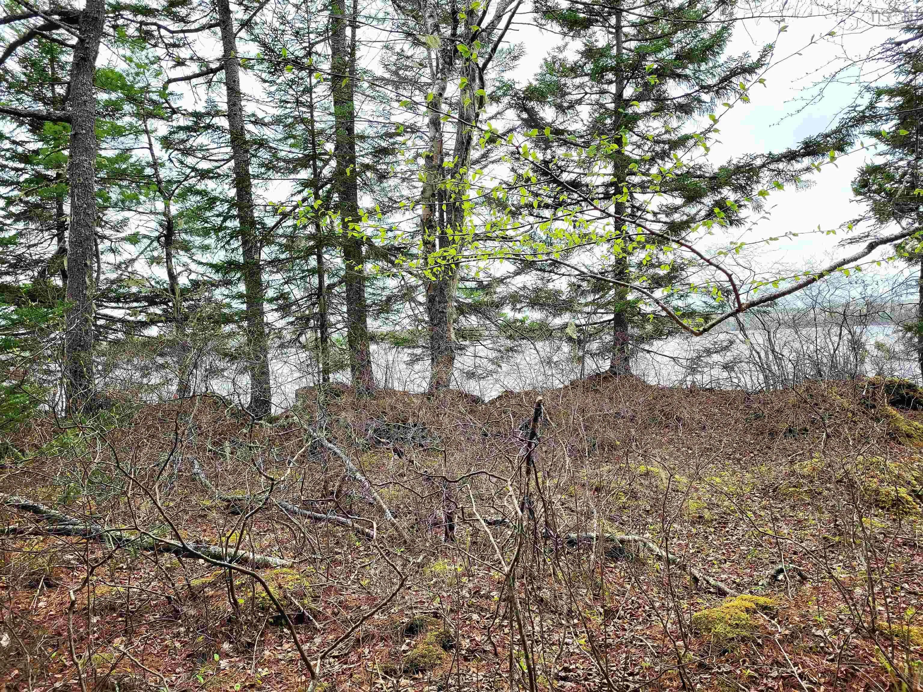 Hirtle Road, Voglers Cove Ns B0j 2h0, ,Land,For Sale,Hirtle,202417604