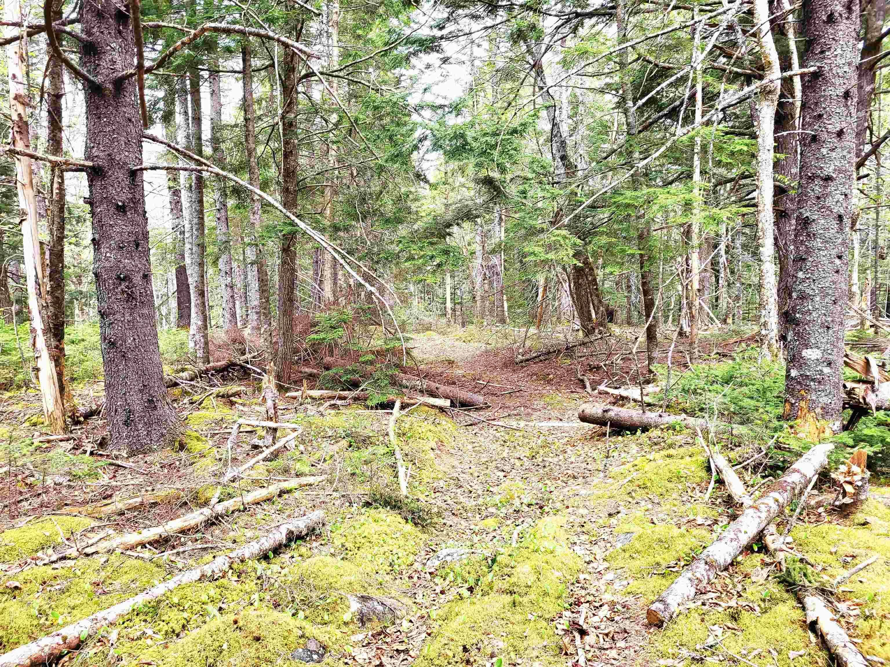 Hirtle Road, Voglers Cove Ns B0j 2h0, ,Land,For Sale,Hirtle,202417604