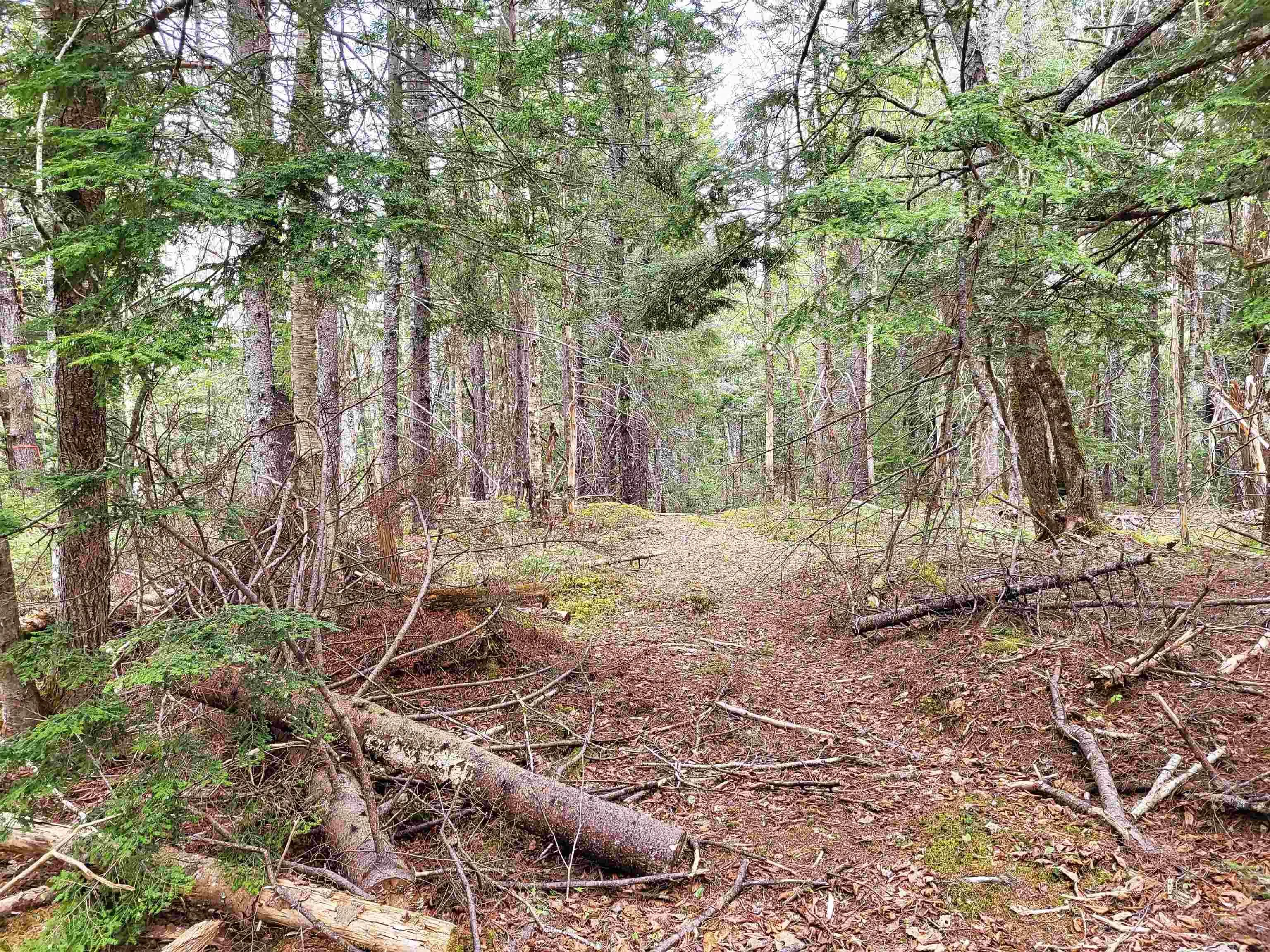 Hirtle Road, Voglers Cove Ns B0j 2h0, ,Land,For Sale,Hirtle,202417604