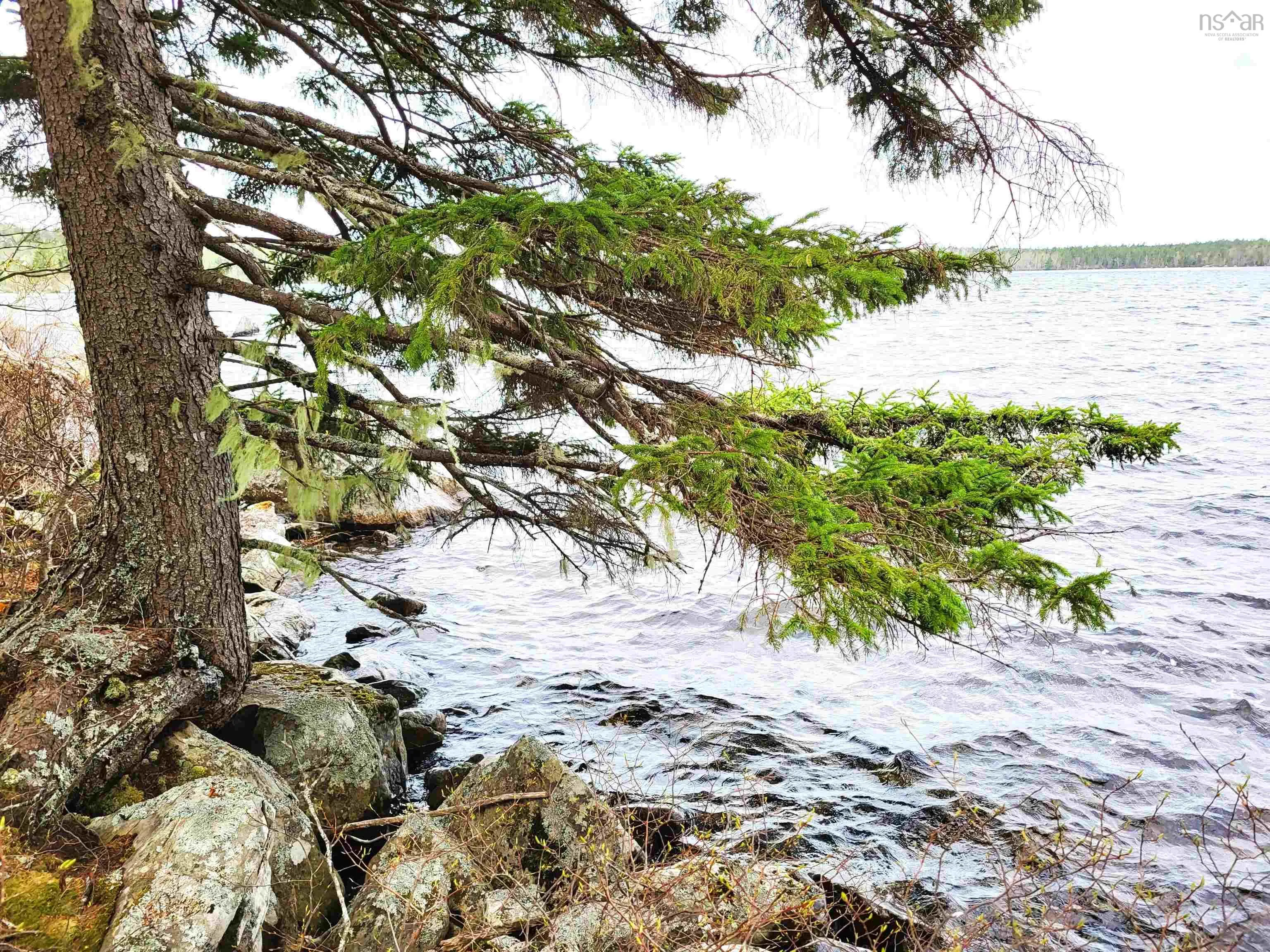 Hirtle Road, Voglers Cove Ns B0j 2h0, ,Land,For Sale,Hirtle,202417604
