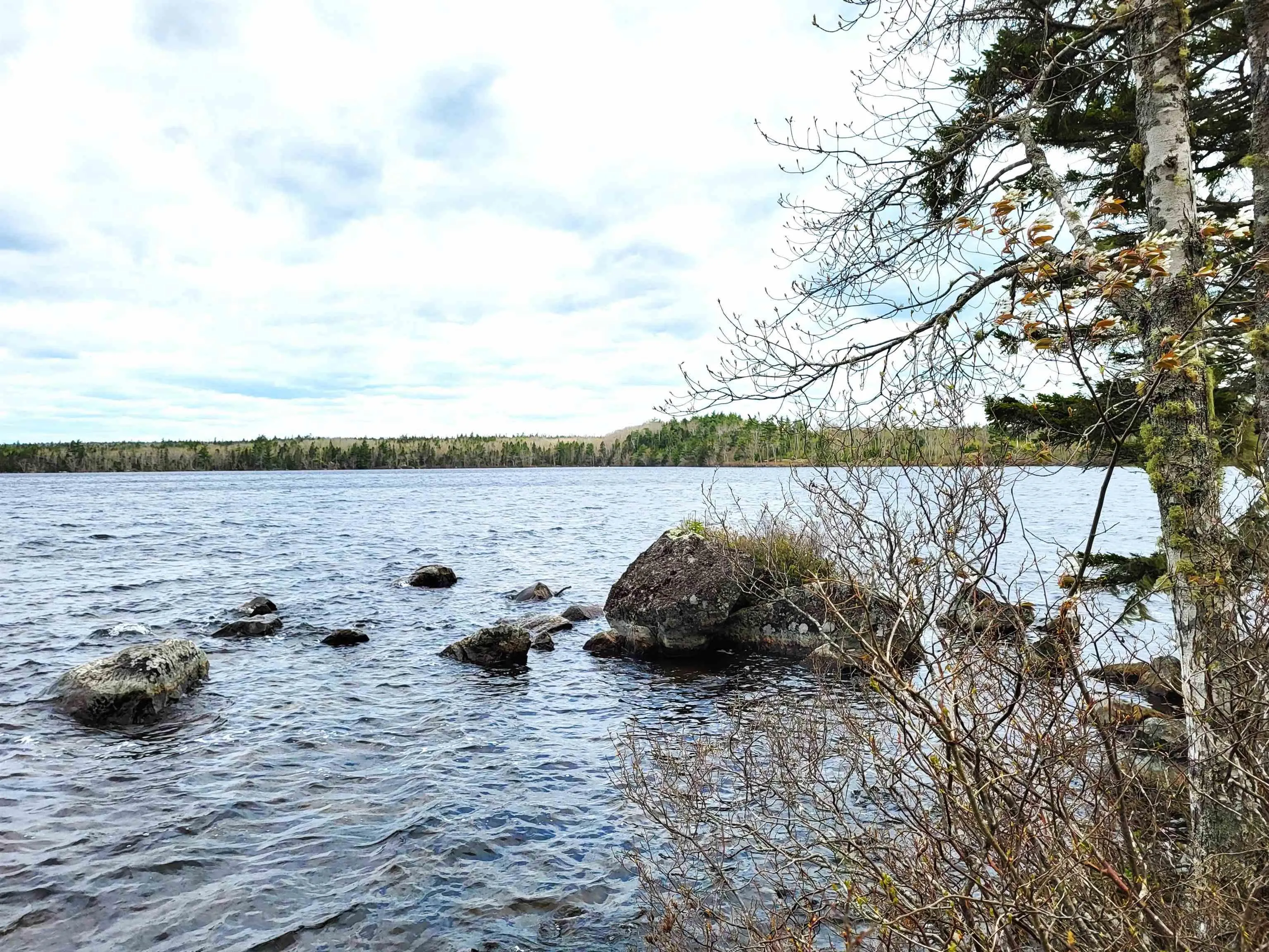 Hirtle Road, Voglers Cove Ns B0j 2h0, ,Land,For Sale,Hirtle,202417604