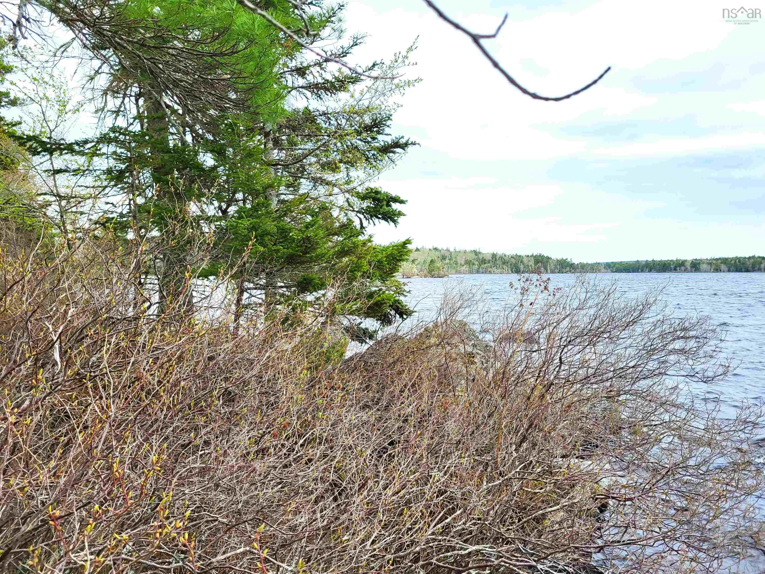 Hirtle Road, Voglers Cove Ns B0j 2h0, ,Land,For Sale,Hirtle,202417604