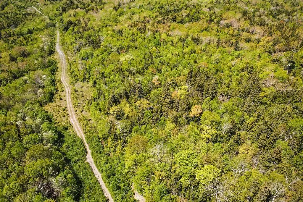 . Highway 19 Highway, Troy Ns B9a 1e6, ,Land,For Sale,Highway 19,202420567