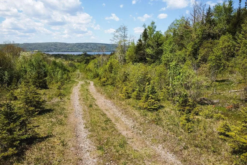 . Highway 19 Highway, Troy Ns B9a 1e6, ,Land,For Sale,Highway 19,202420567