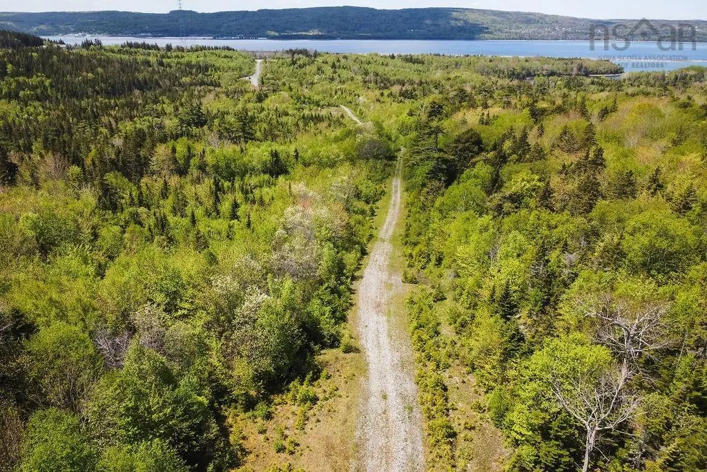 . Highway 19 Highway, Troy Ns B9a 1e6, ,Land,For Sale,Highway 19,202420567