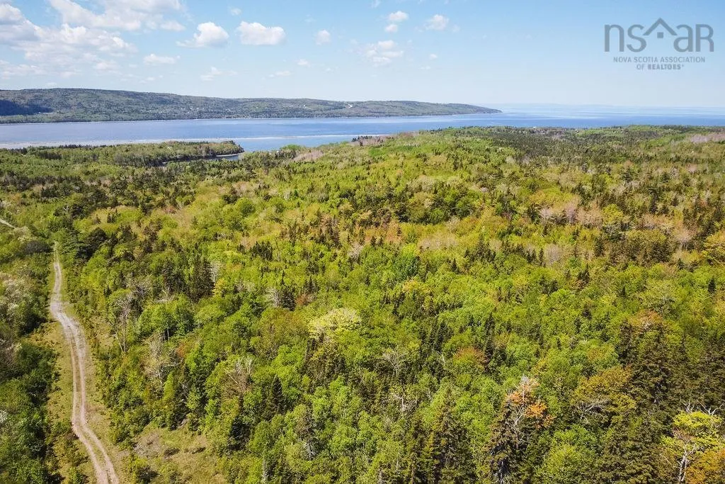 . Highway 19 Highway, Troy Ns B9a 1e6, ,Land,For Sale,Highway 19,202420567