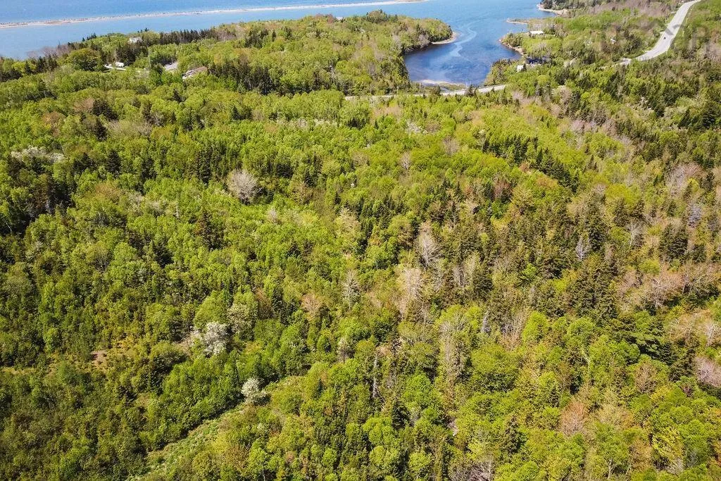 . Highway 19 Highway, Troy Ns B9a 1e6, ,Land,For Sale,Highway 19,202420567