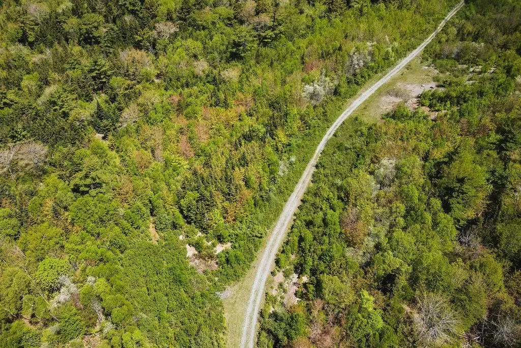 . Highway 19 Highway, Troy Ns B9a 1e6, ,Land,For Sale,Highway 19,202420567