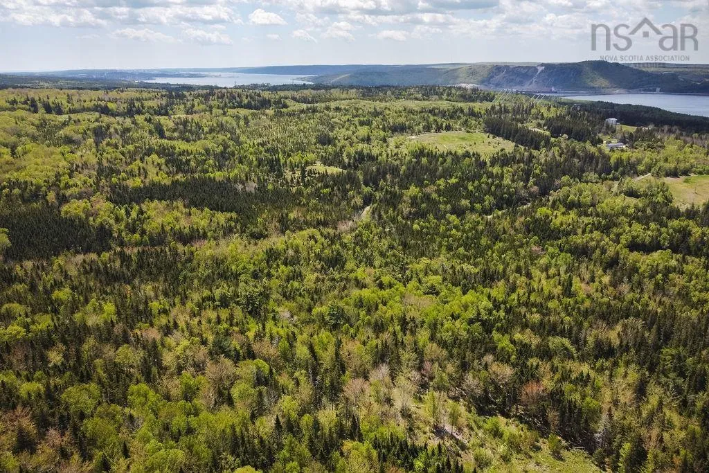 . Highway 19 Highway, Troy Ns B9a 1e6, ,Land,For Sale,Highway 19,202420567