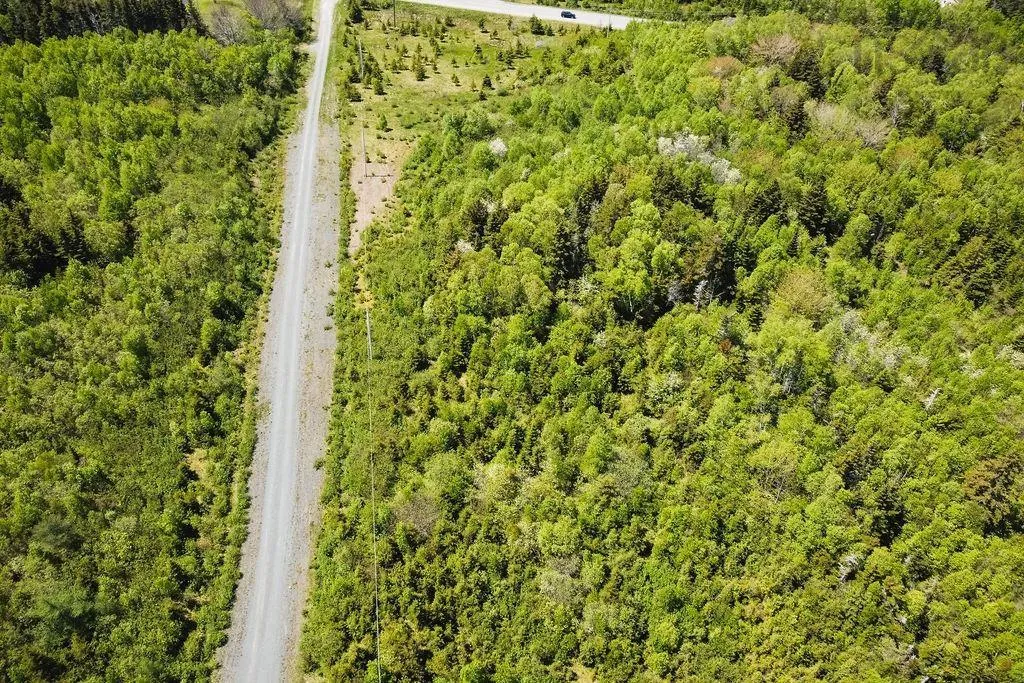 . Highway 19 Highway, Troy Ns B9a 1e6, ,Land,For Sale,Highway 19,202420567