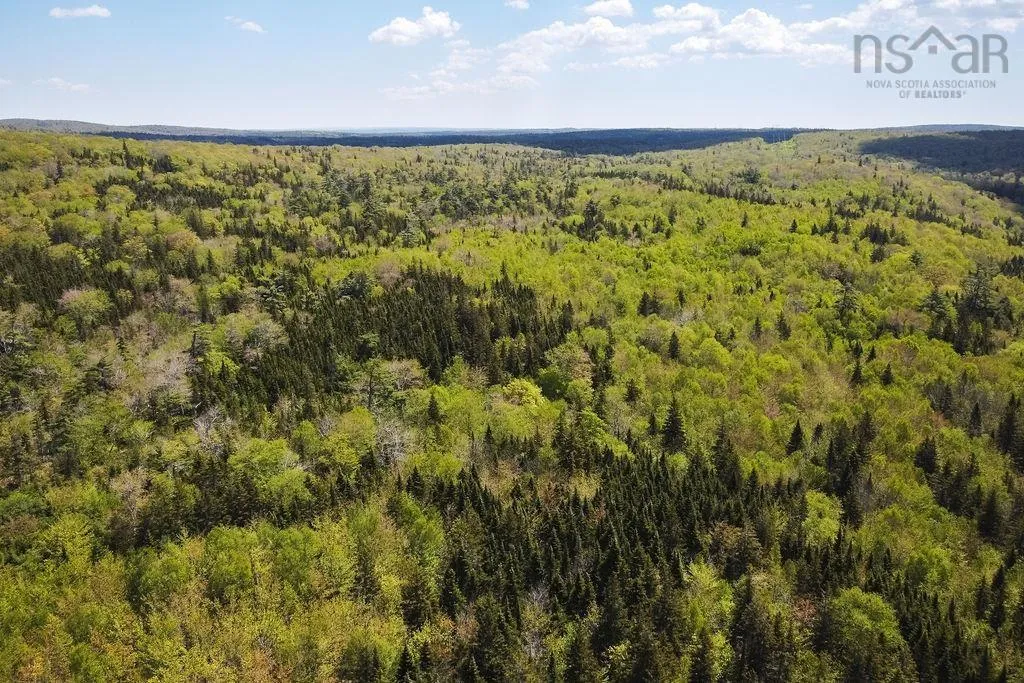 . Highway 19 Highway, Troy Ns B9a 1e6, ,Land,For Sale,Highway 19,202420567