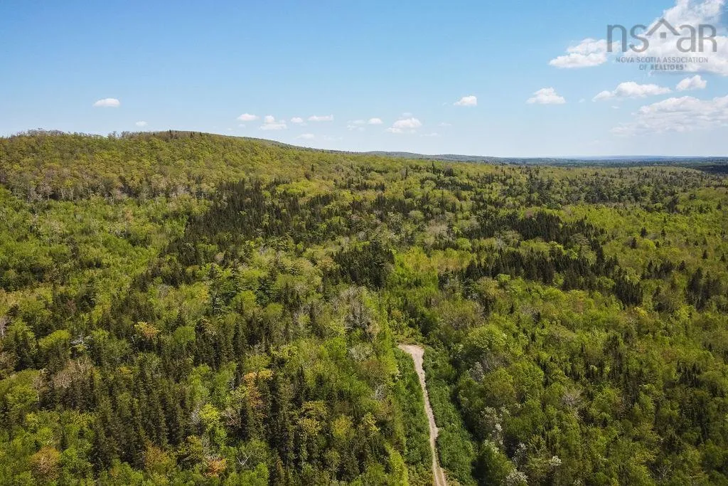 . Highway 19 Highway, Troy Ns B9a 1e6, ,Land,For Sale,Highway 19,202420567