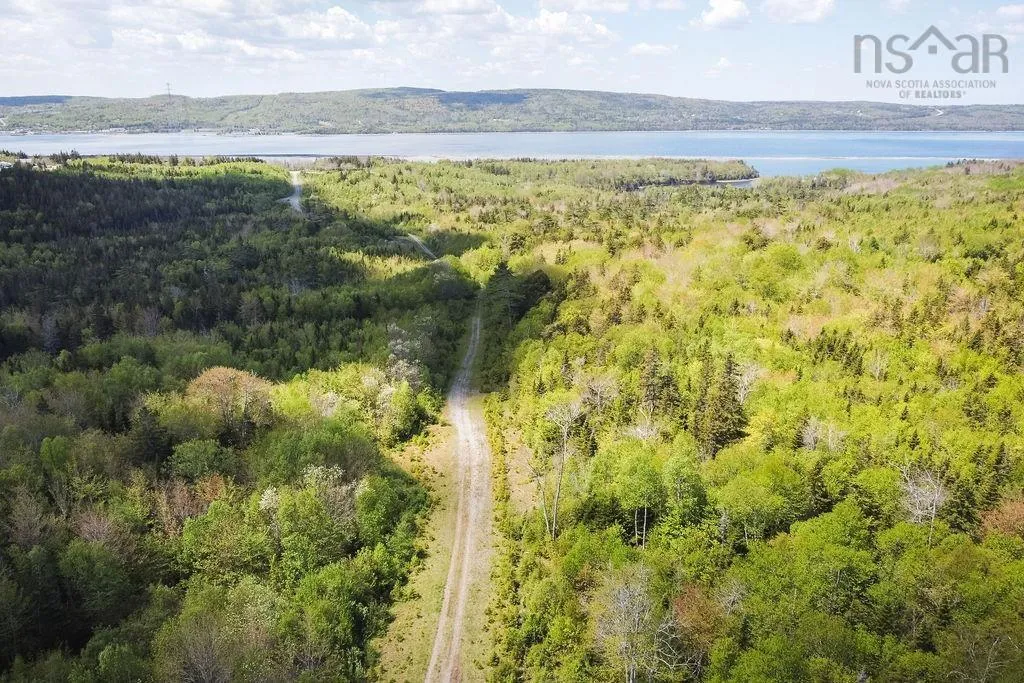 . Highway 19 Highway, Troy Ns B9a 1e6, ,Land,For Sale,Highway 19,202420567