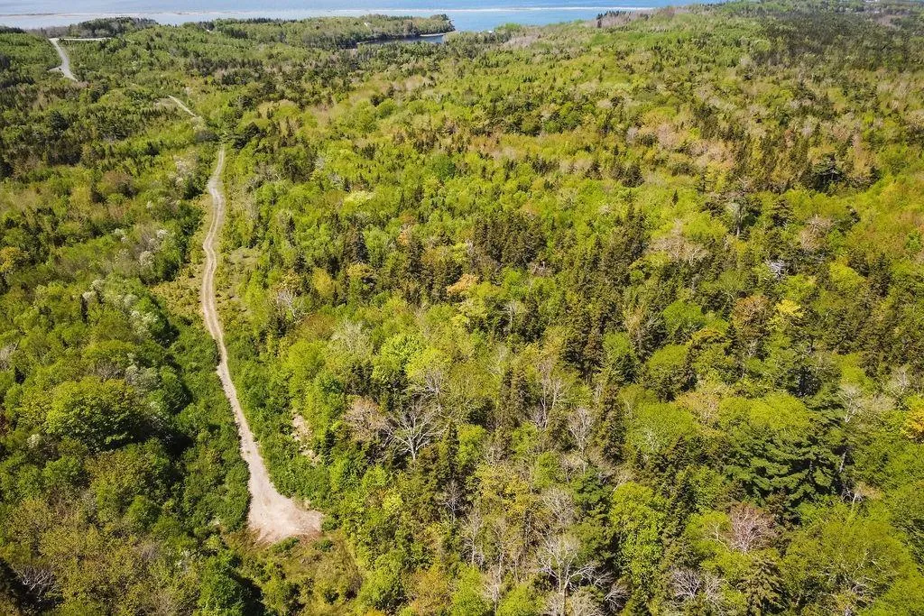 . Highway 19 Highway, Troy Ns B9a 1e6, ,Land,For Sale,Highway 19,202420567