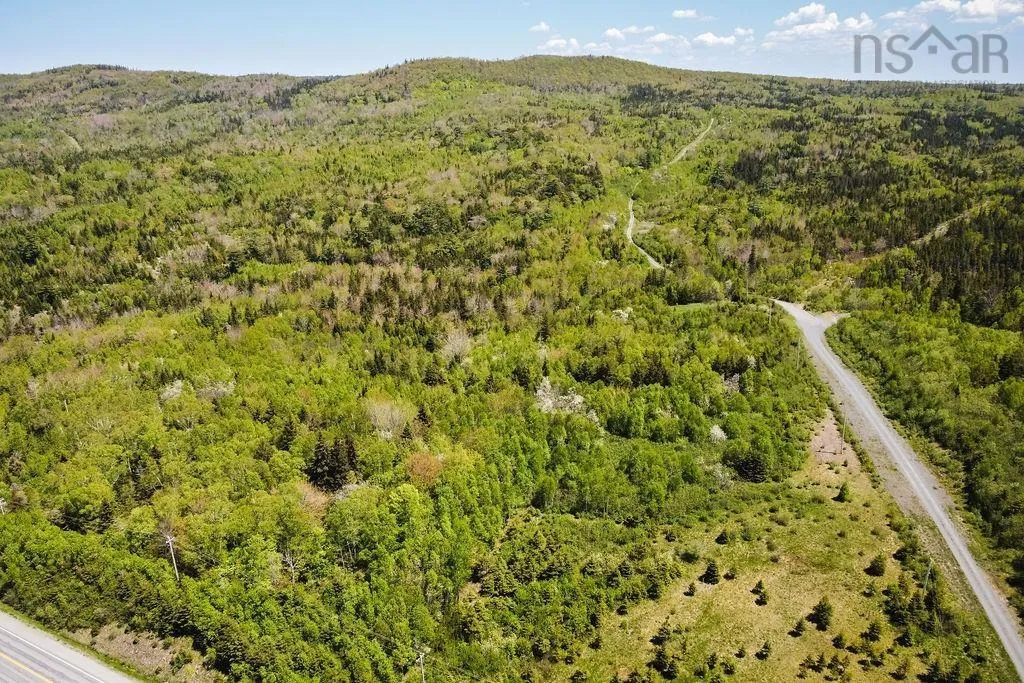 . Highway 19 Highway, Troy Ns B9a 1e6, ,Land,For Sale,Highway 19,202420567