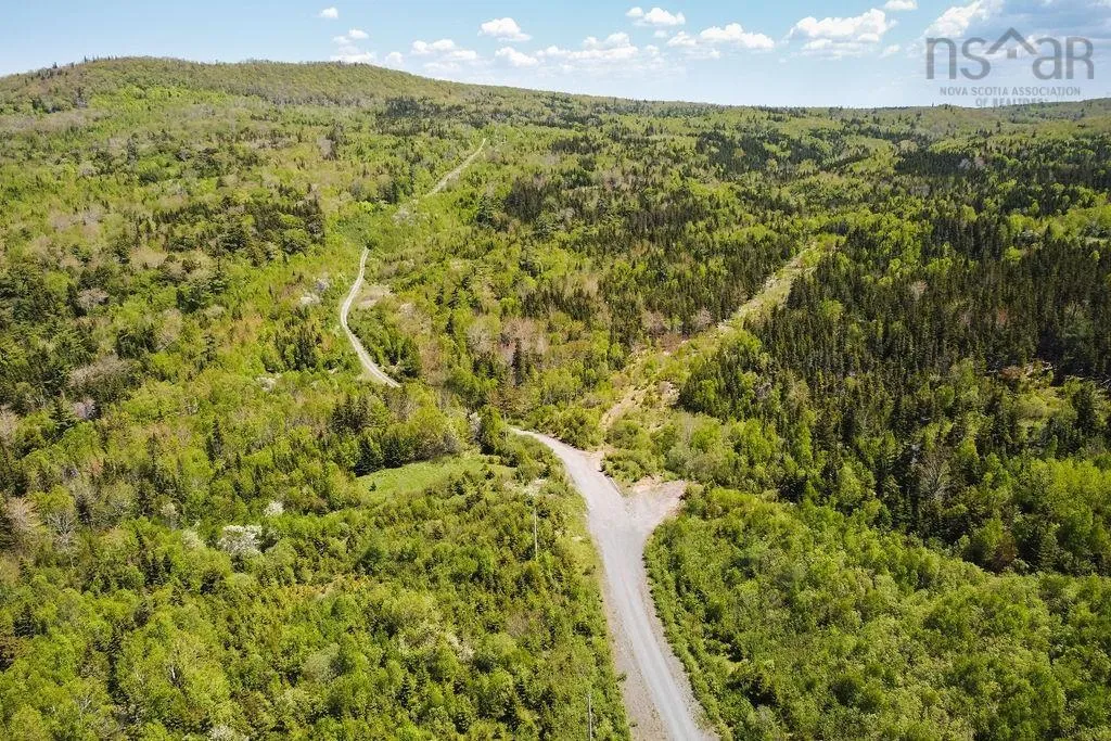 . Highway 19 Highway, Troy Ns B9a 1e6, ,Land,For Sale,Highway 19,202420567