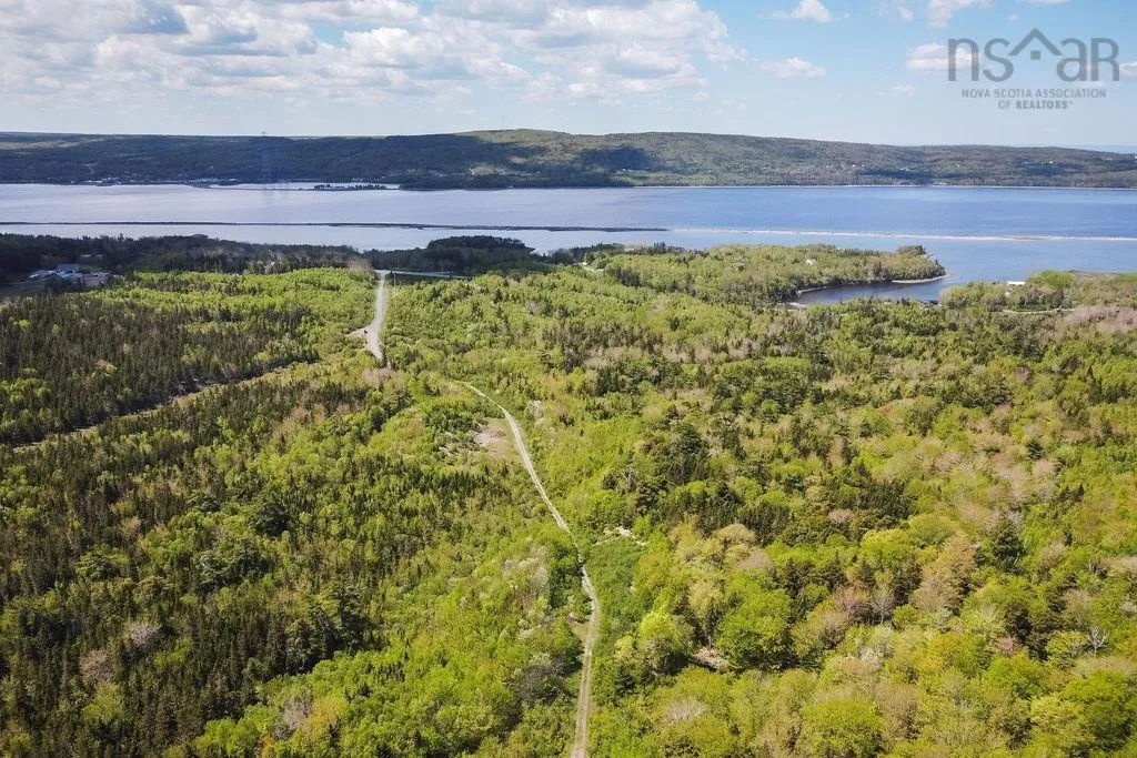 . Highway 19 Highway, Troy Ns B9a 1e6, ,Land,For Sale,Highway 19,202420567