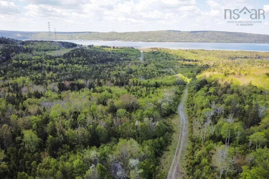 . Highway 19 Highway, Troy Ns B9a 1e6, ,Land,For Sale,Highway 19,202420567