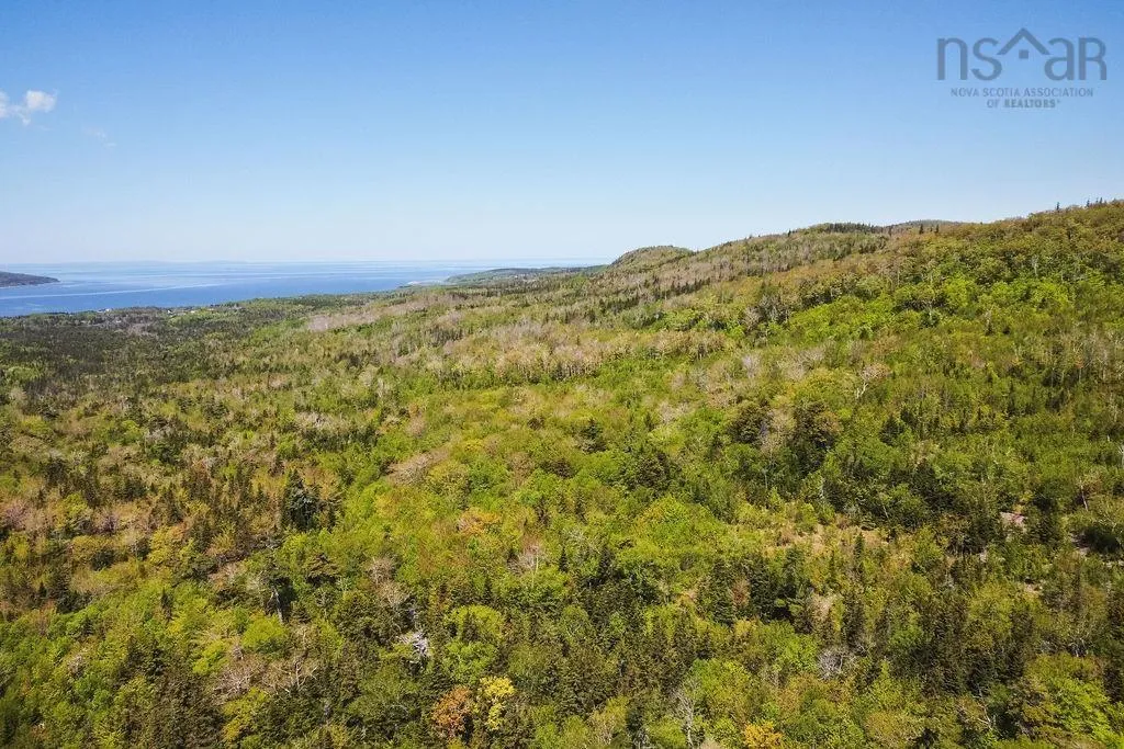 . Highway 19 Highway, Troy Ns B9a 1e6, ,Land,For Sale,Highway 19,202420567