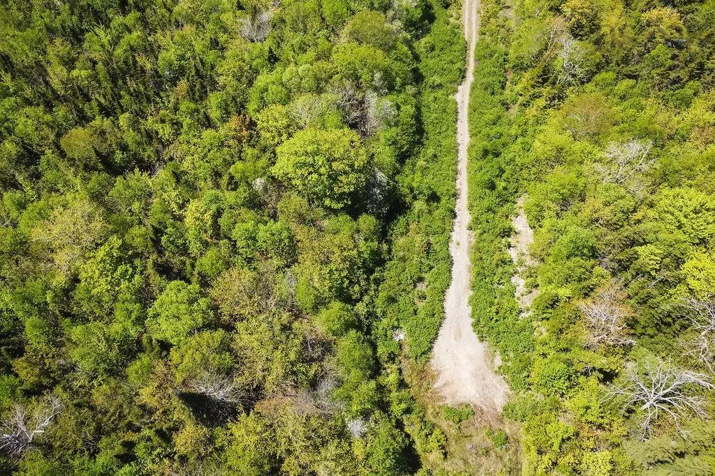 . Highway 19 Highway, Troy Ns B9a 1e6, ,Land,For Sale,Highway 19,202420567