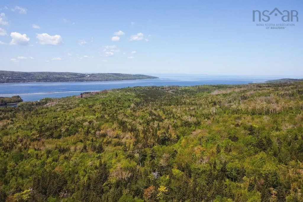 . Highway 19 Highway, Troy Ns B9a 1e6, ,Land,For Sale,Highway 19,202420567
