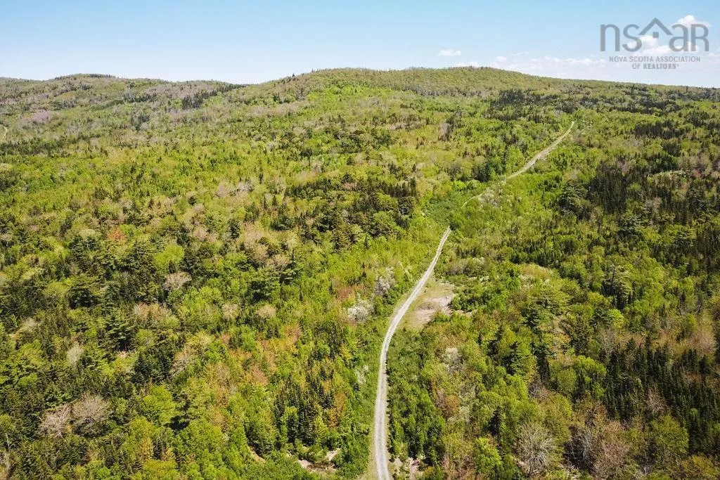 . Highway 19 Highway, Troy Ns B9a 1e6, ,Land,For Sale,Highway 19,202420567
