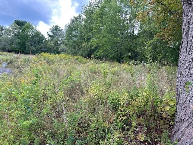 Lot Willow Street, Hantsport, NS B0P 1P0, ,Land,For Sale,Willow Street,202521885