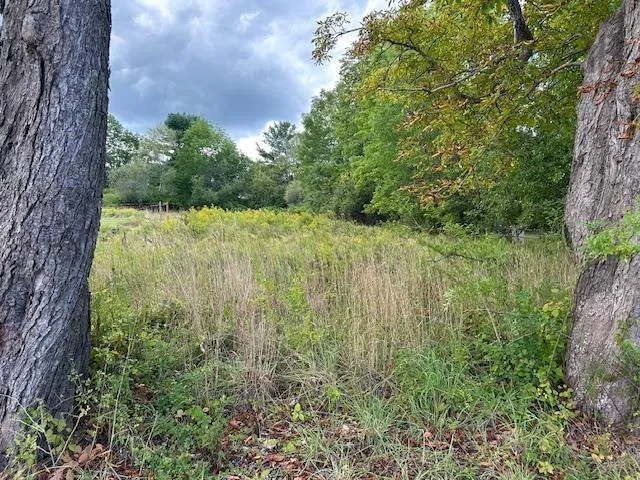 Lot Willow Street, Hantsport, NS B0P 1P0, ,Land,For Sale,Willow Street,202521885