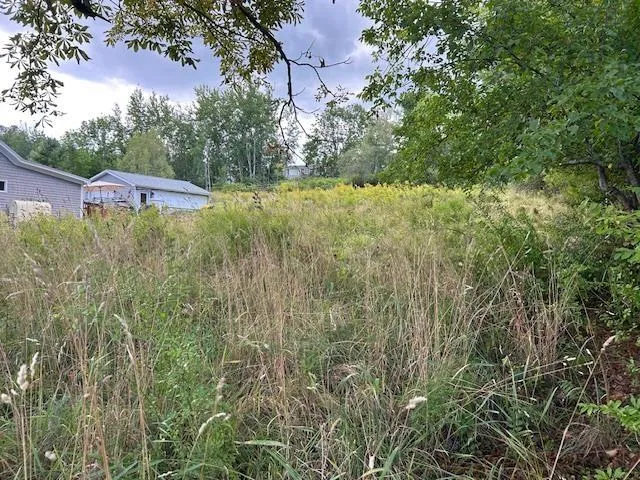 Lot Willow Street, Hantsport, NS B0P 1P0, ,Land,For Sale,Willow Street,202521885