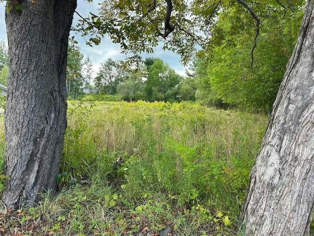 Lot Willow Street, Hantsport, NS B0P 1P0, ,Land,For Sale,Willow Street,202521885