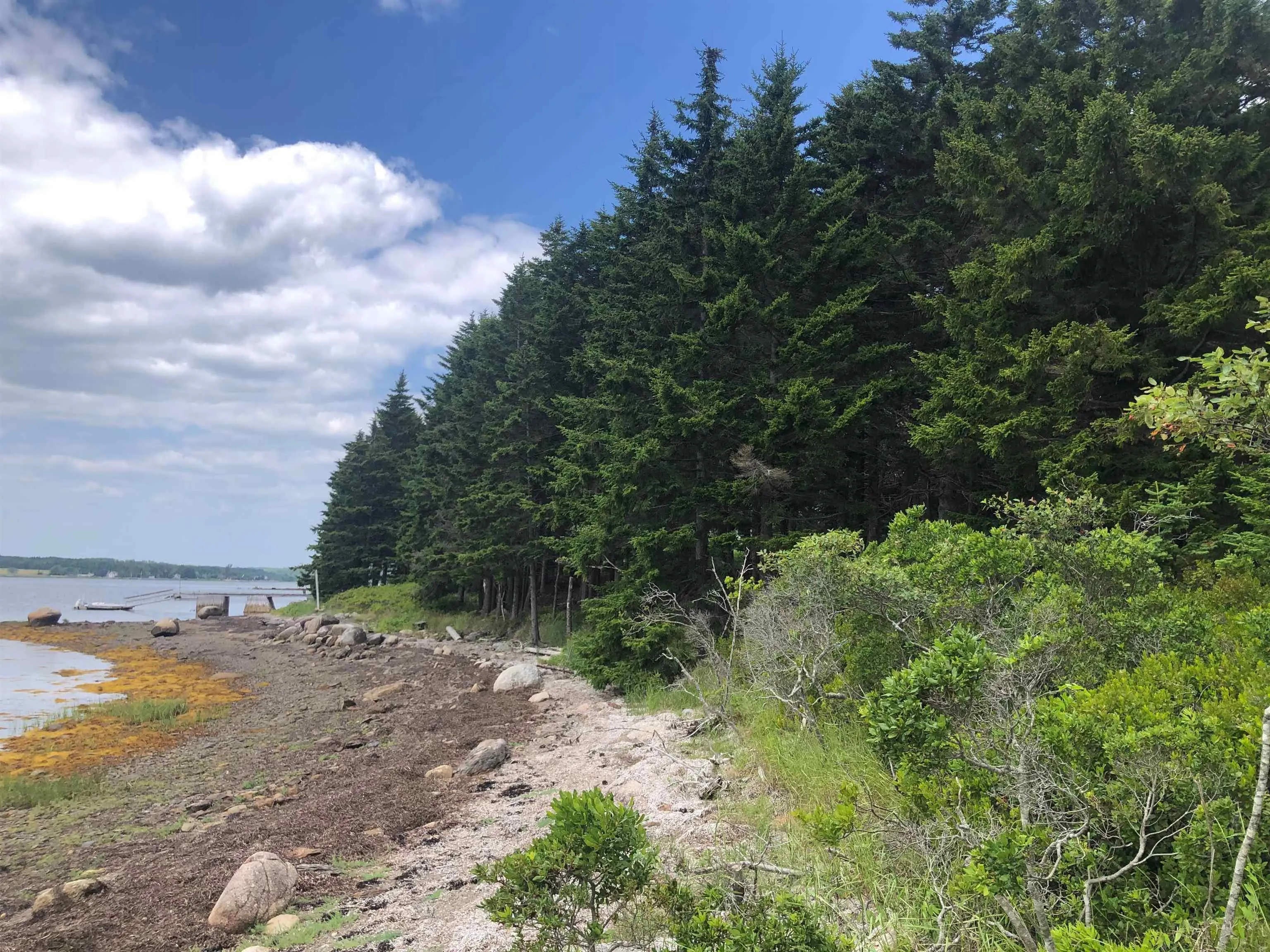 South Cove Drive, Corkums Island, NS B0J 2C0, ,Land,For Sale,South Cove,202518964