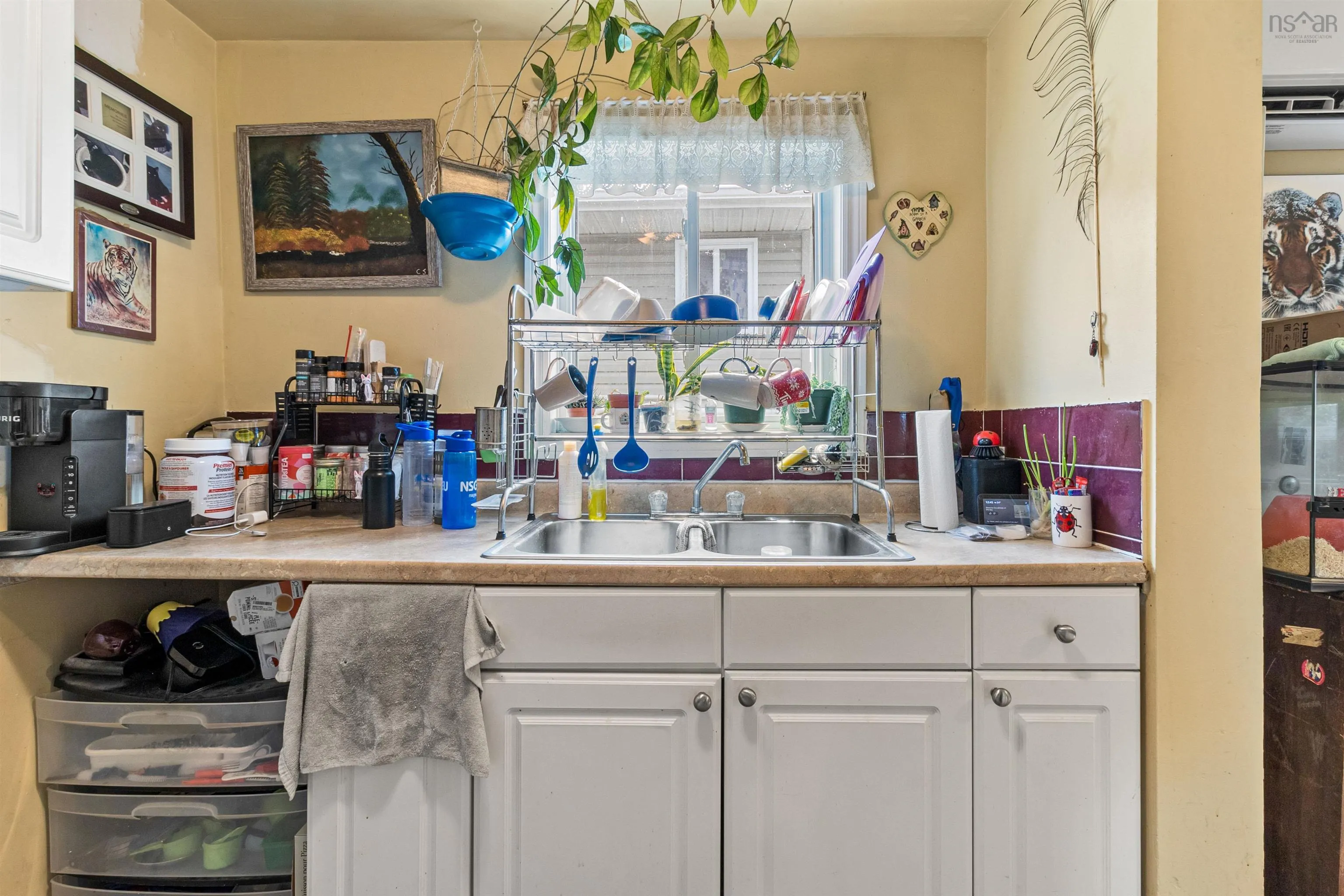 251 Pleasant Street, Dartmouth, NS B2Y 3S1, 4 Bedrooms Bedrooms, ,Residential Income,For Sale,Pleasant,202521265