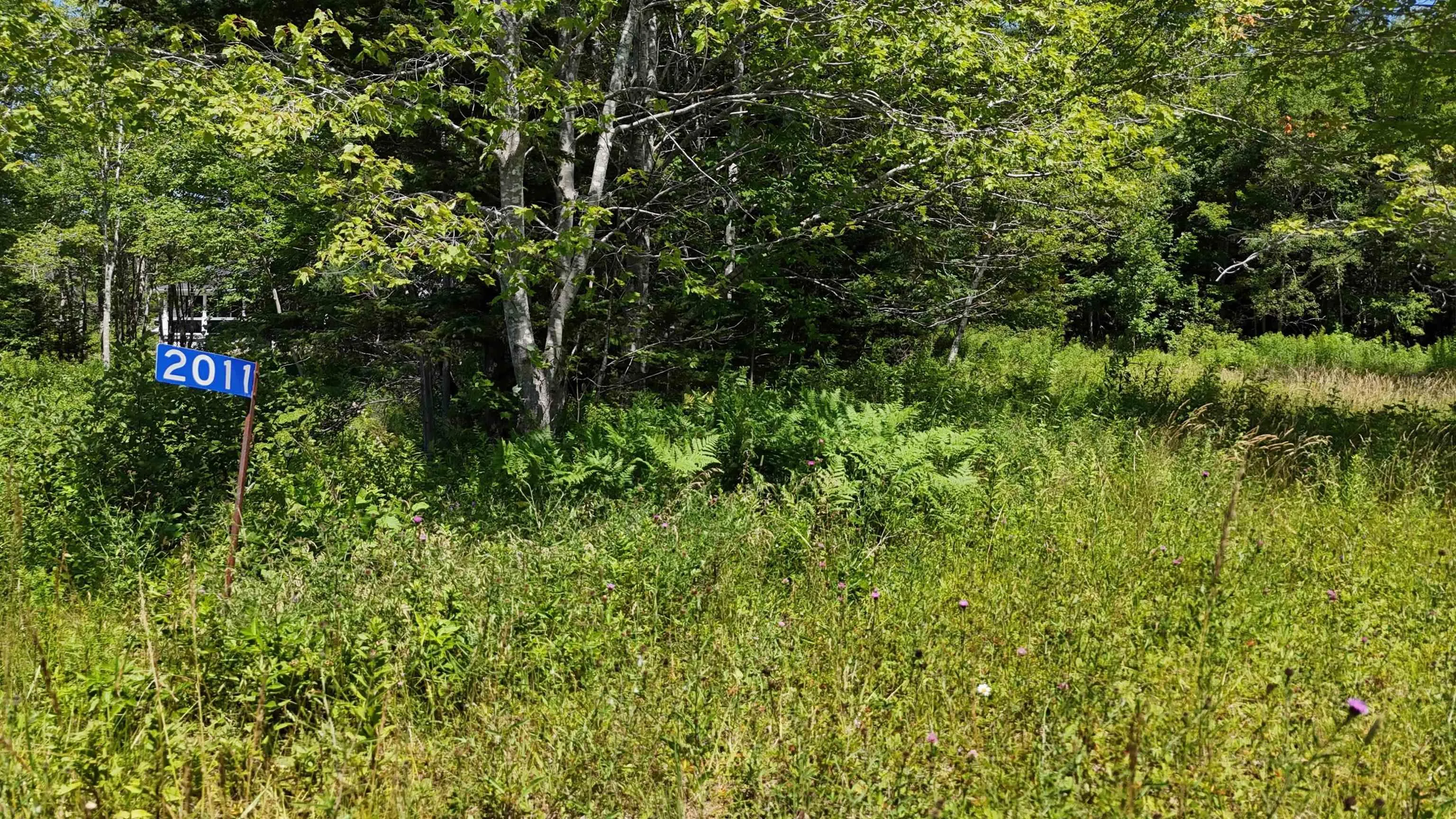 2011 Whiteside Road, Whiteside, NS B0E 1J0, ,Land,For Sale,Whiteside,202518249