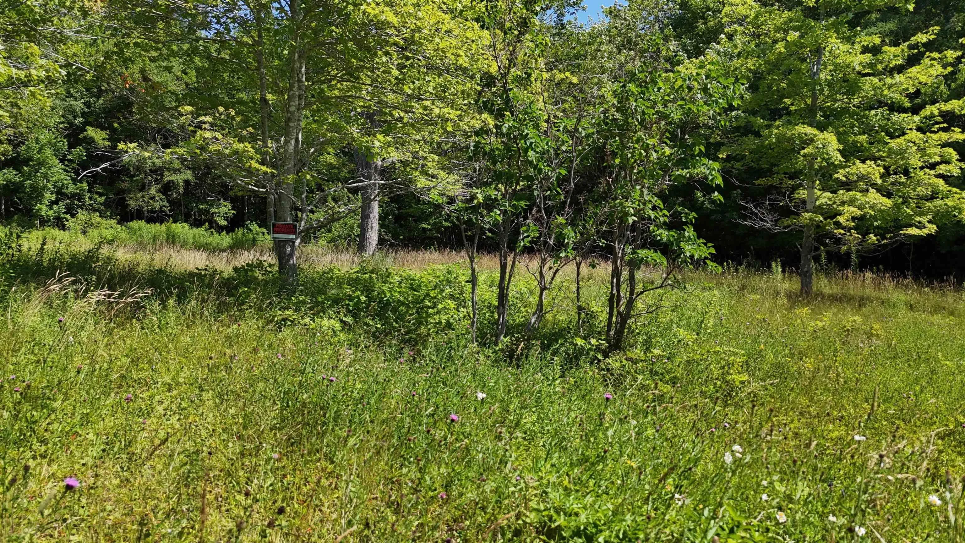 2011 Whiteside Road, Whiteside, NS B0E 1J0, ,Land,For Sale,Whiteside,202518249