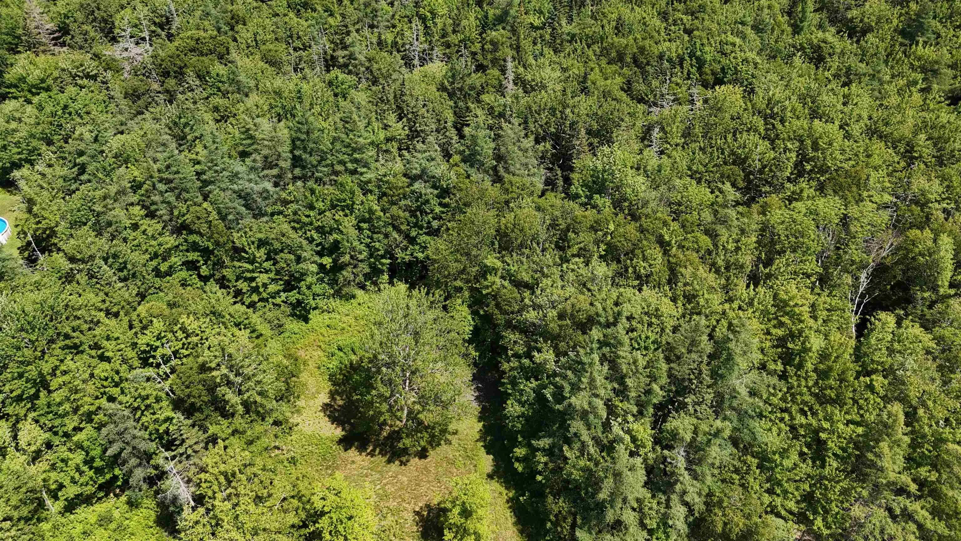 2011 Whiteside Road, Whiteside, NS B0E 1J0, ,Land,For Sale,Whiteside,202518249