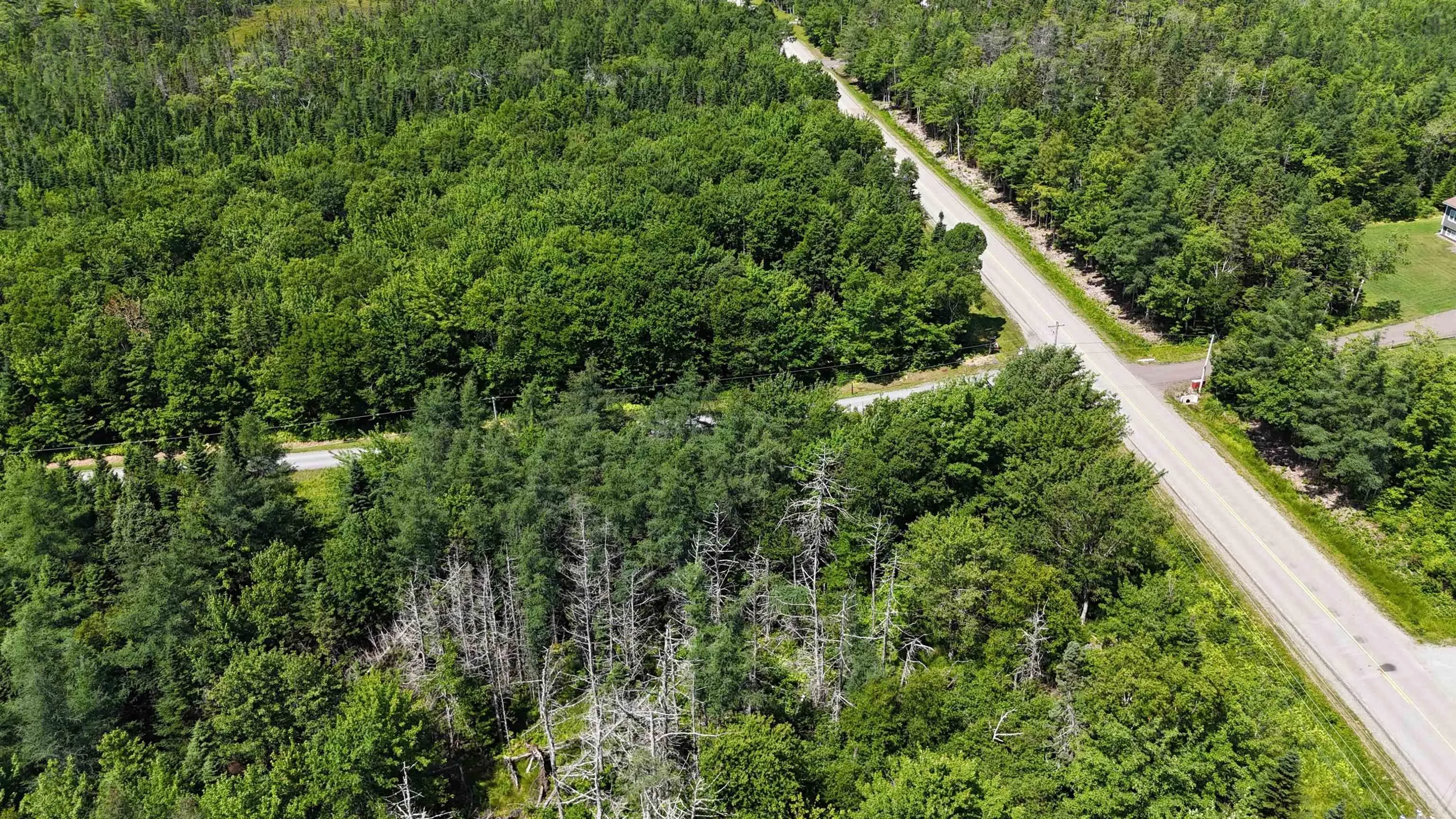 2011 Whiteside Road, Whiteside, NS B0E 1J0, ,Land,For Sale,Whiteside,202518249