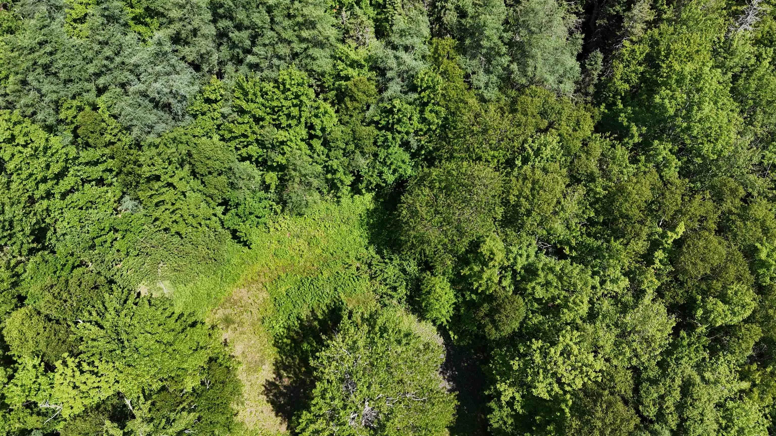 2011 Whiteside Road, Whiteside, NS B0E 1J0, ,Land,For Sale,Whiteside,202518249