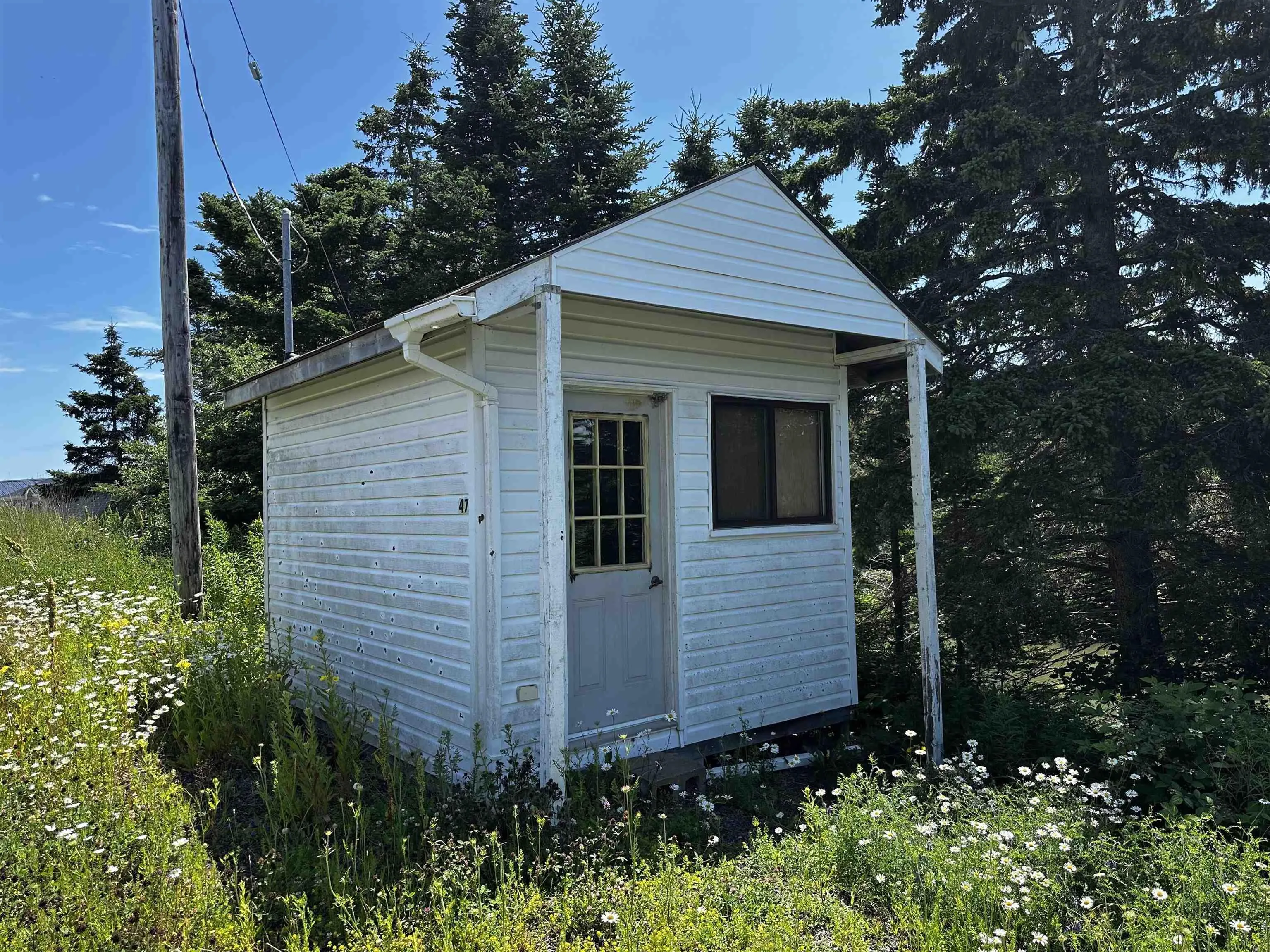 47 Maceachern Road, Port Royal, NS B0E 3J0, ,Land,For Sale,Maceachern,202517491