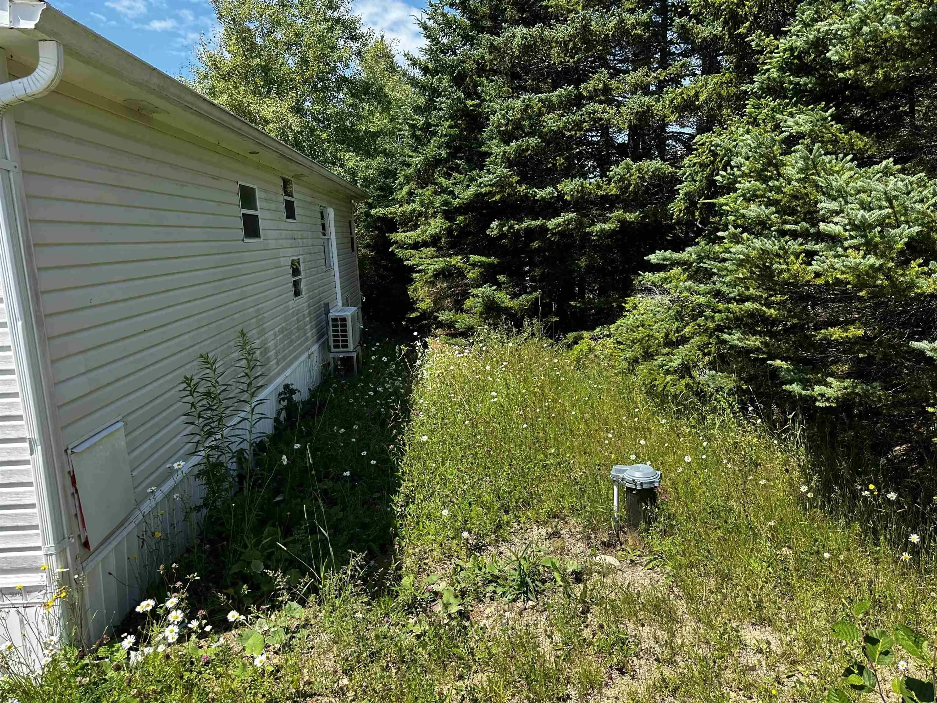 47 Maceachern Road, Port Royal, NS B0E 3J0, ,Land,For Sale,Maceachern,202517491