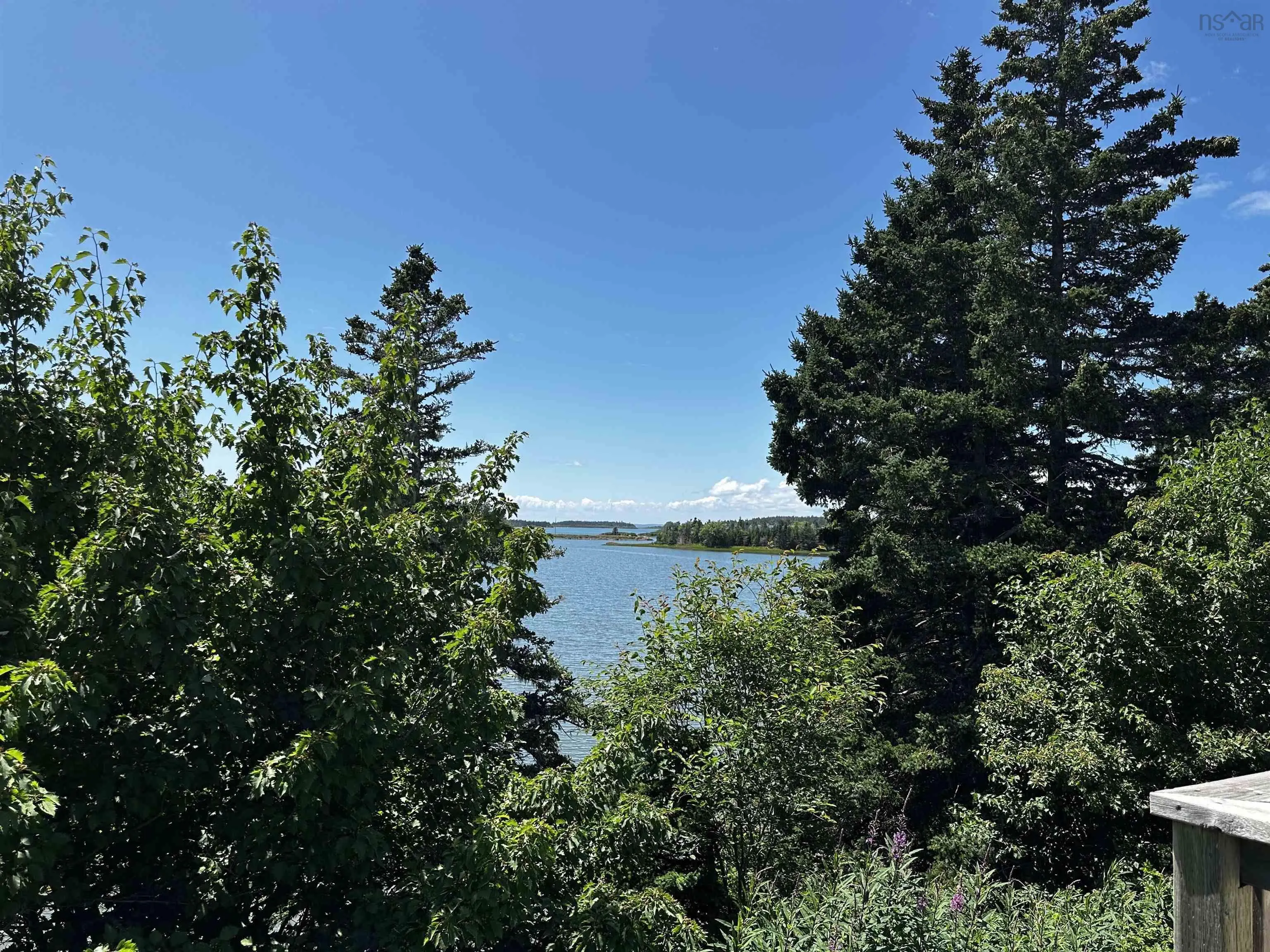 47 Maceachern Road, Port Royal, NS B0E 3J0, ,Land,For Sale,Maceachern,202517491