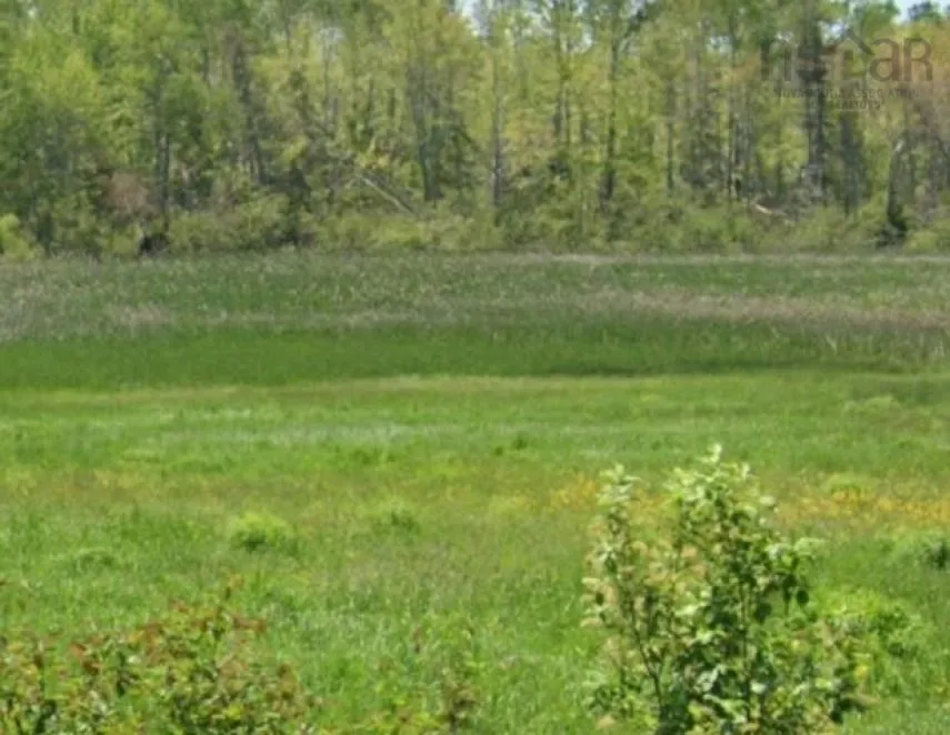 Vl North Wallace Road, North Wallace, NS B0K 1L0, ,Land,For Sale,North Wallace,202525470