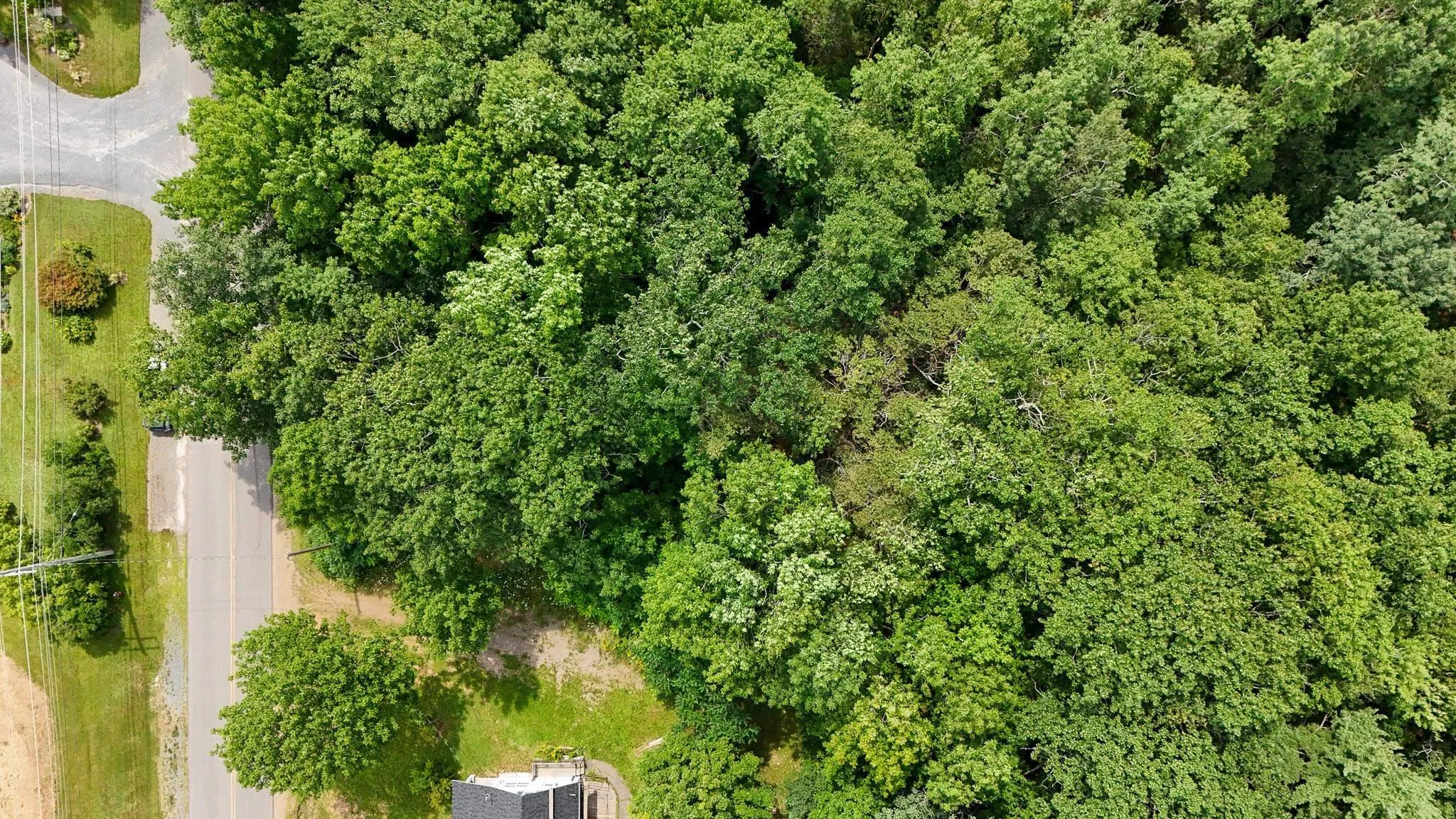Maple Avenue Lot 2, Wolfville Ns B4p 2l9, ,Land,For Sale,Maple,202507116