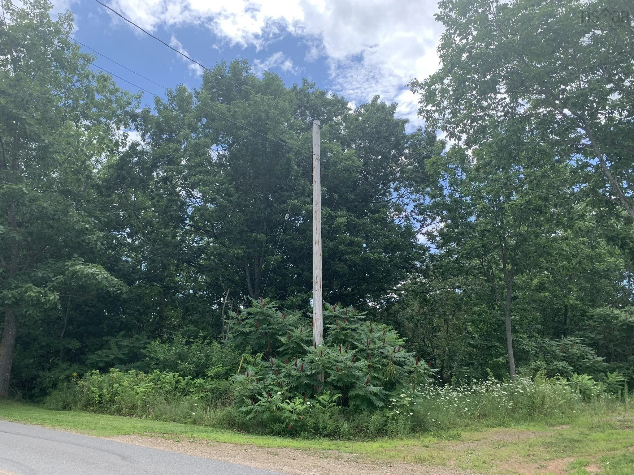 Maple Avenue Lot 2, Wolfville Ns B4p 2l9, ,Land,For Sale,Maple,202507116